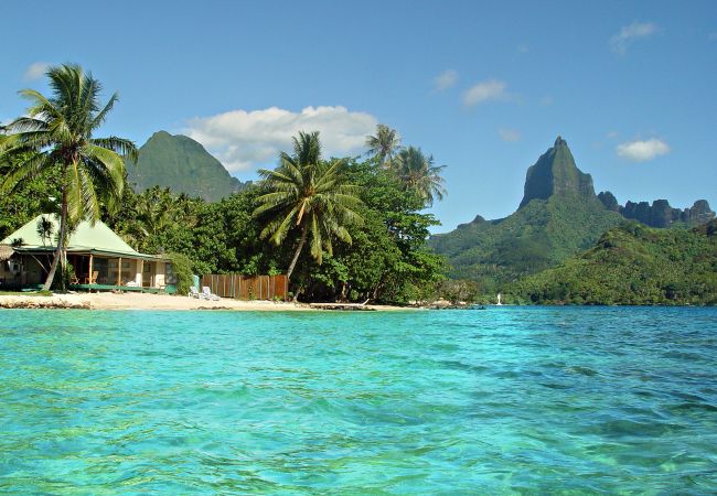 Villa en Papetoai - Beach Villa Cook - Robinson's Cove